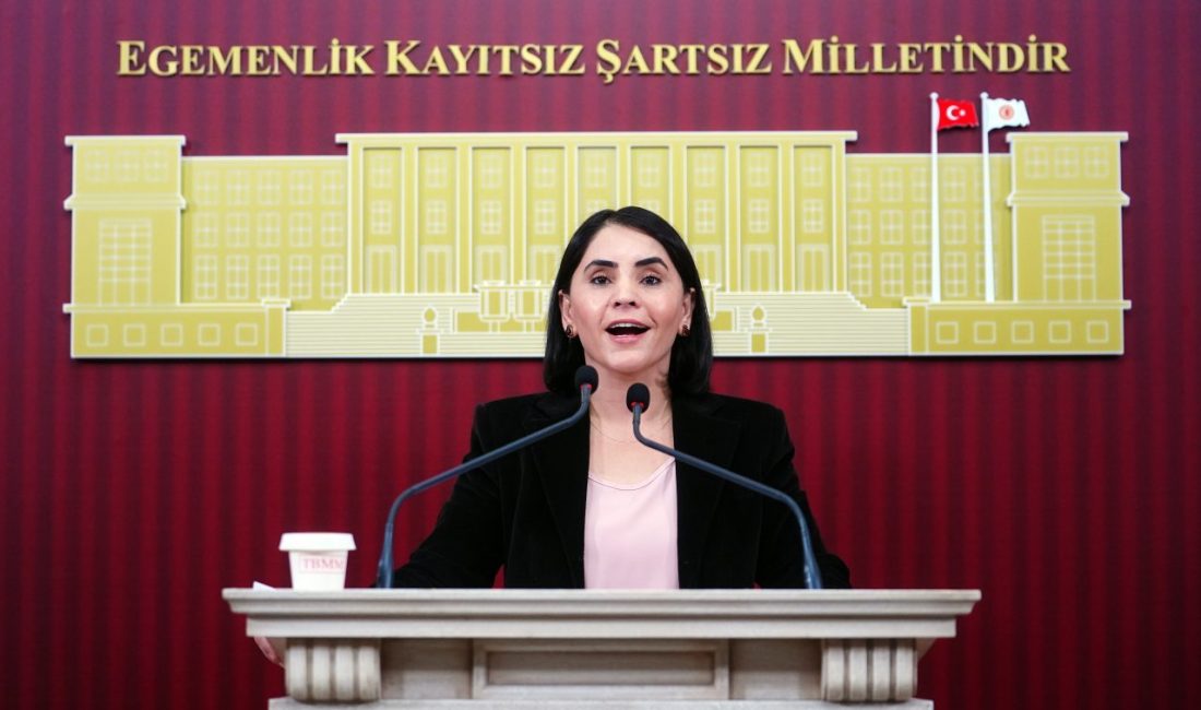 TBMM (AA) – DEM Parti milletvekilleri, Meclis'te ayrı ayrı düzenledikleri