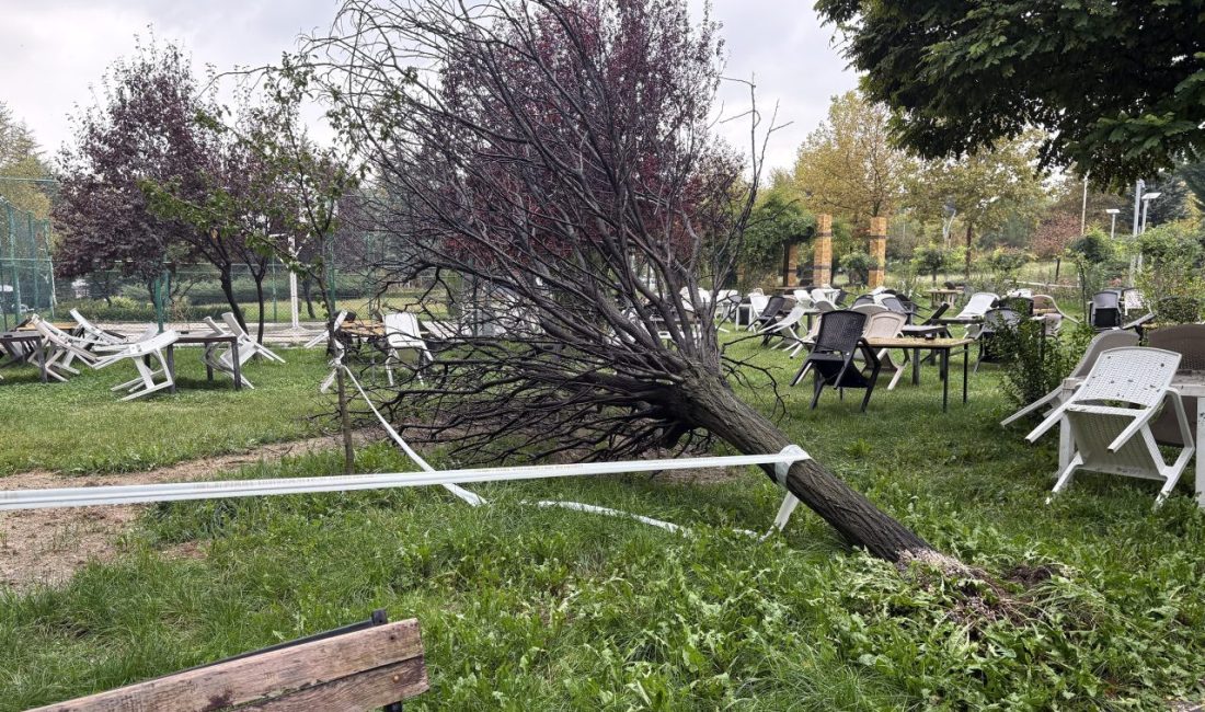 ELAZIĞ (AA) – Elazığ'da etkili olan kuvvetli sağanak ve rüzgarın