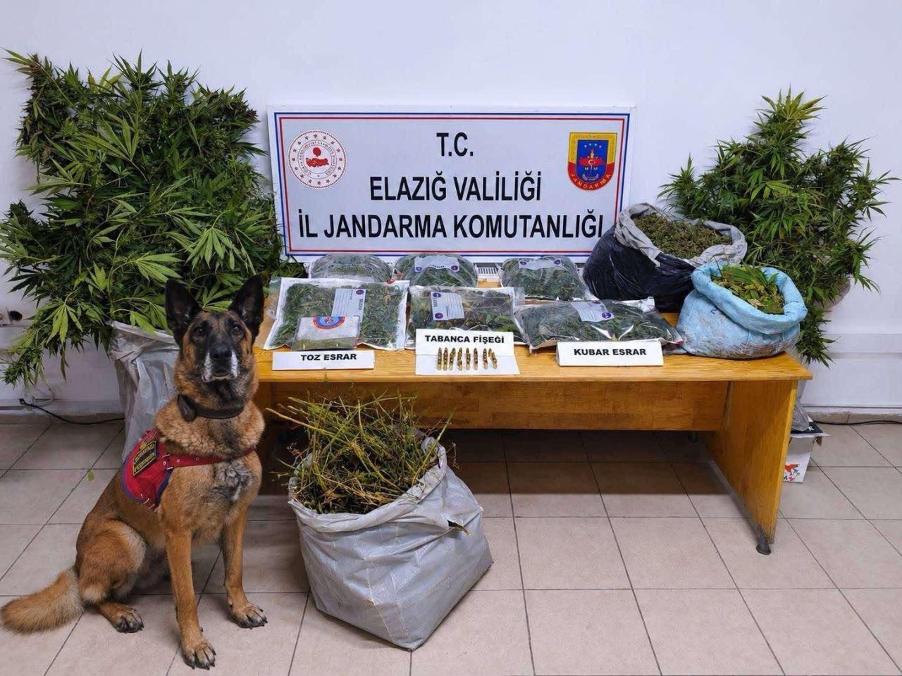 ELAZIĞ (AA) – Elazığ'da uyuşturucu operasyonunda gözaltına alınan 4 şüpheliden