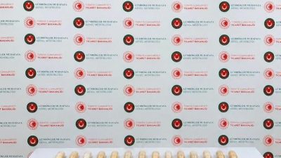 HAKKARİ (AA) – Hakkari'nin Yüksekova ilçesindeki Esendere Gümrük Kapısı'nda, mide