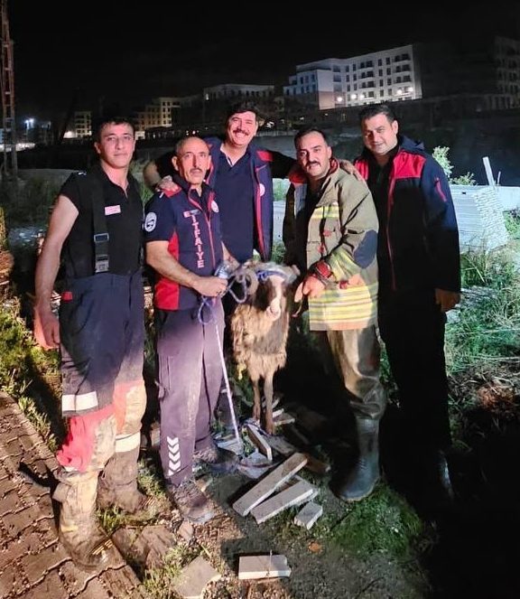 HATAY (AA) – Hatay'ın merkez Antakya ilçesinde nehre düşen koyun,