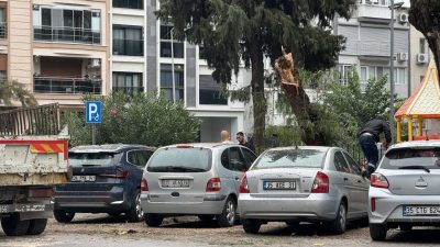 İZMİR (AA) – İzmir'in Karşıyaka ilçesinde üzerine ağaç devrilen 4