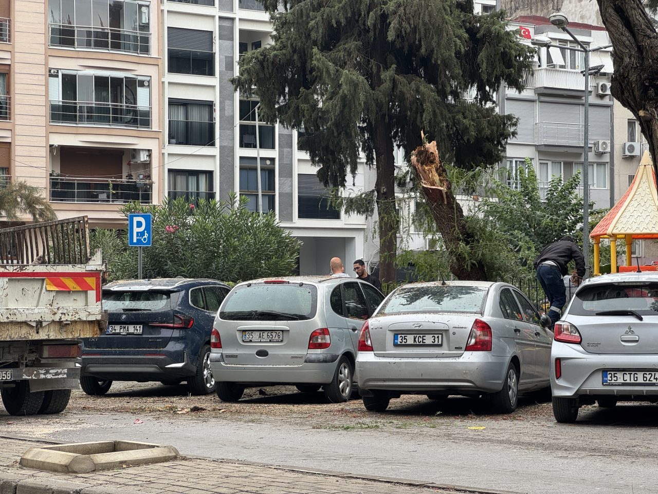 İZMİR (AA) – İzmir'in Karşıyaka ilçesinde üzerine ağaç devrilen 4