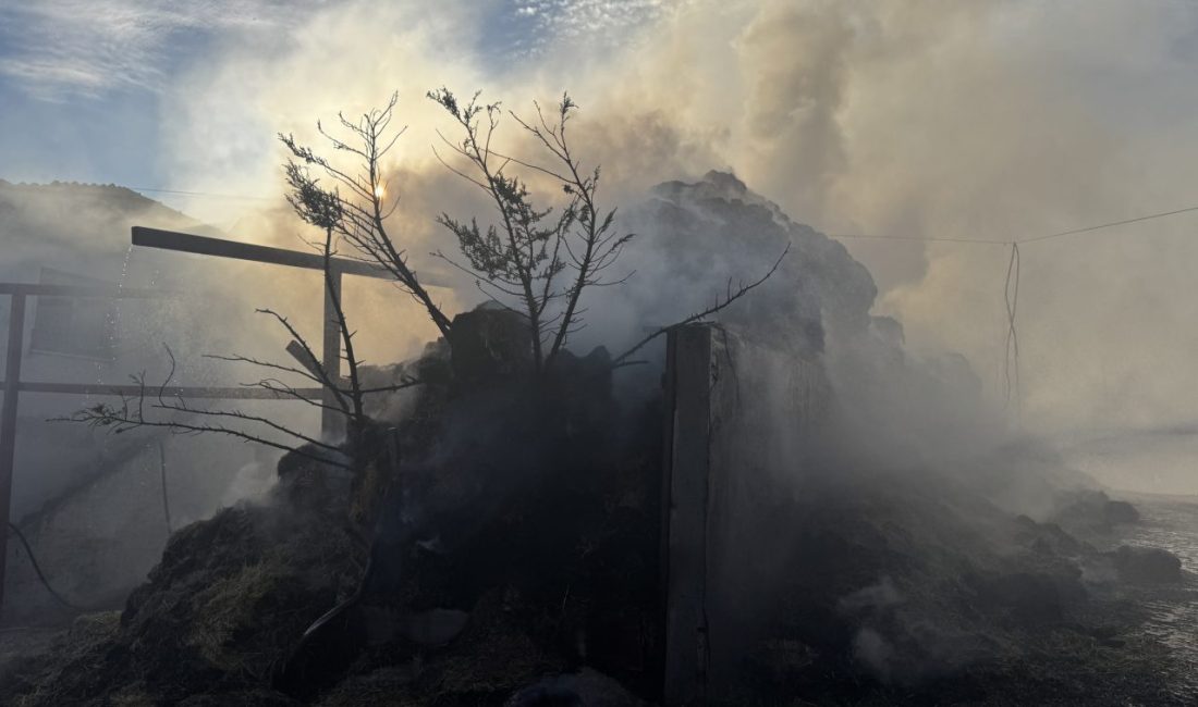 KASTAMONU (AA) – Kastamonu'da çıkan yangında yaklaşık 3 bin balya