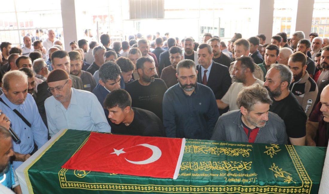ADANA (AA) – Kuzey Kıbrıs Türk Cumhuriyeti'nin (KKTC) Girne Limanı