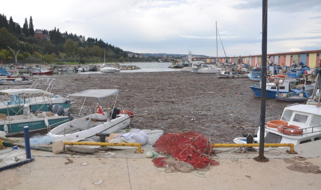 KOCAELİ (AA) – Kocaeli'nin Karamürsel ilçesinde sağanak ve fırtınanın ardından