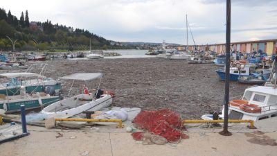 KOCAELİ (AA) – Kocaeli'nin Karamürsel ilçesinde sağanak ve fırtınanın ardından
