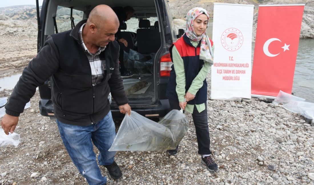 MALATYA (AA) – Malatya'da Tarım ve Orman İl Müdürlüğünce Boztepe