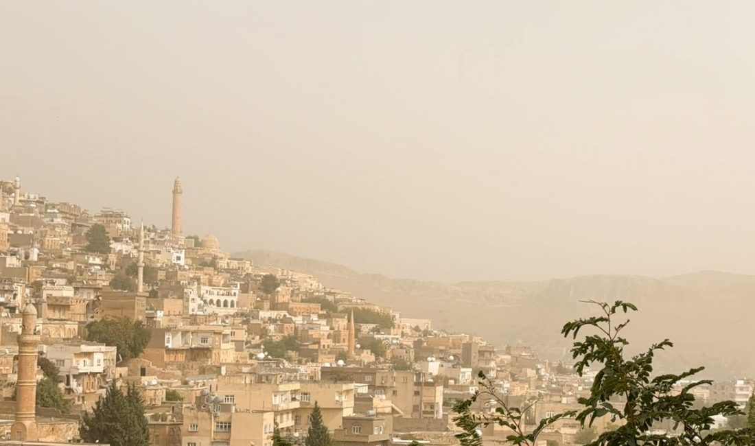 MARDİN (AA) – Mardin'de toz taşınımı hayatı olumsuz etkiledi. Kentte