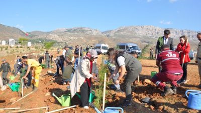 MERSİN (AA) – Mersin'in Silifke ilçesinde yangında zarar gören Şehit