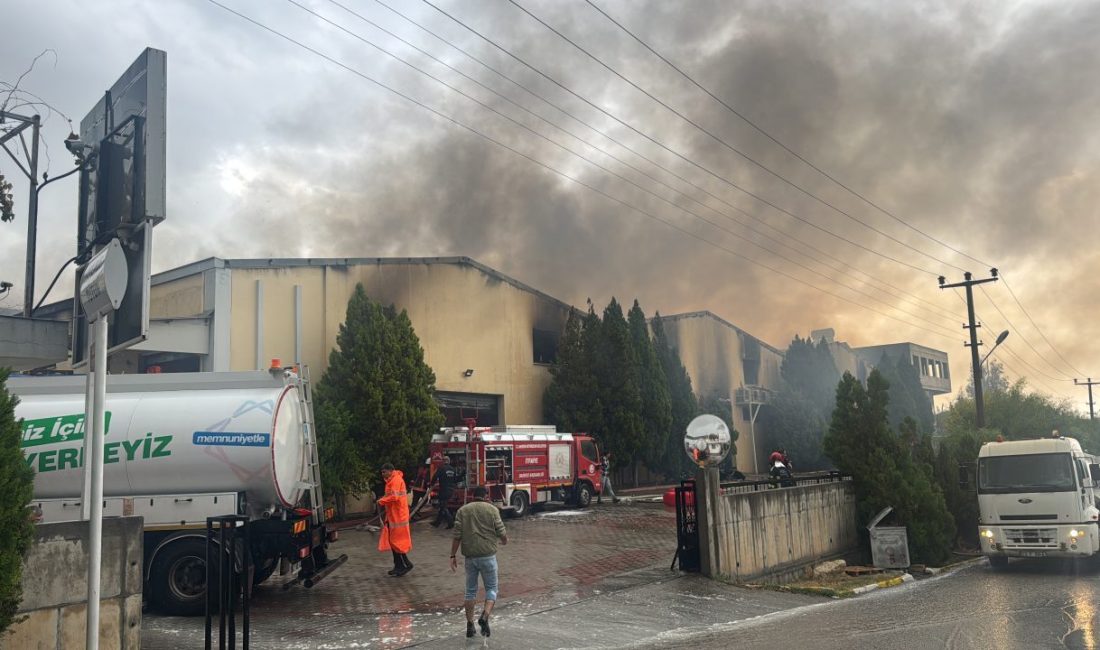 MERSİN (AA) – Mersin'in merkez Akdeniz ilçesindeki tütün ve makaron