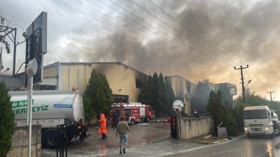 MERSİN (AA) – Mersin'in merkez Akdeniz ilçesindeki tütün ve makaron