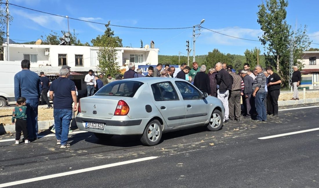 MUĞLA (AA) – Muğla'nın Seydikemer ilçesinde otomobilin çarptığı 77 yaşındaki