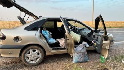 ŞANLIURFA (AA) – Şanlıurfa'nın Ceylanpınar ilçesinde, yaklaşık 75 kilogram Antep