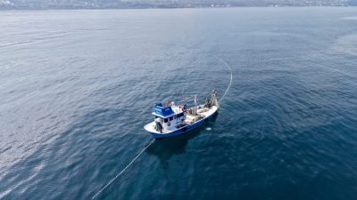 SİNOP (AA) – Sinop'un Türkeli ilçesinde balıkçıların palamut avı mesaisi,