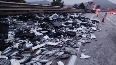 - Kamyondaki binlerce palamut  kaza sonrası yola saçıldı