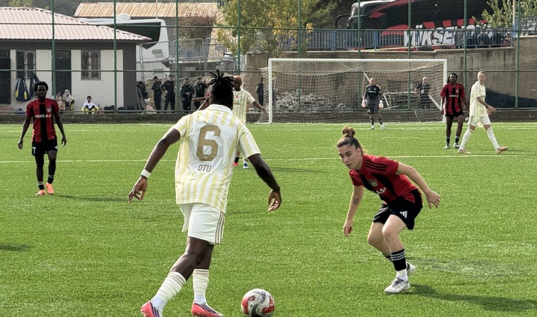 - Yüksekovaspor: 1 - Fenerbahçe arsaVev: 1