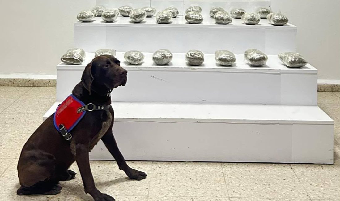 VAN (AA) – Van'ın Başkale ilçesinde 10 kilo 111 gram
