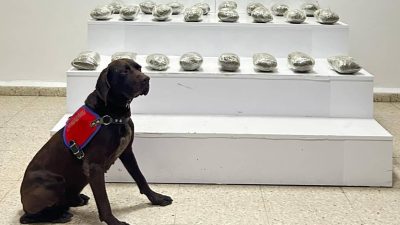 VAN (AA) – Van'ın Başkale ilçesinde 10 kilo 111 gram