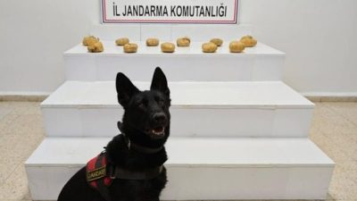 VAN (AA) – Van'ın Başkale ilçesinde 11 kilo 958 gram